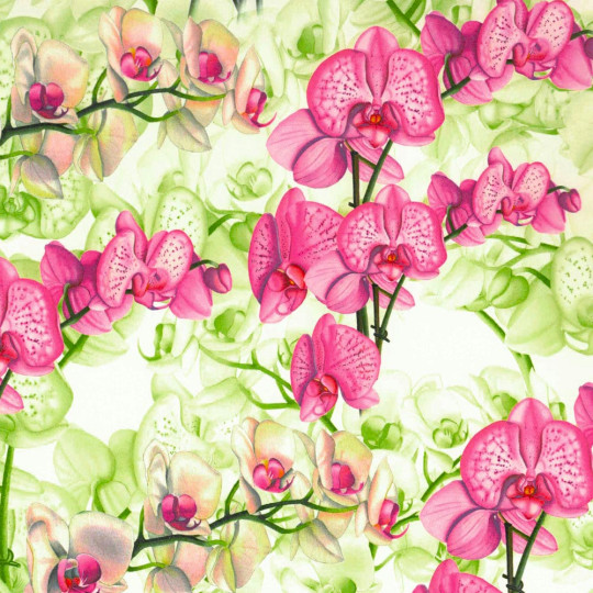 Pink Orchids Italian Paper ~ Tassotti
